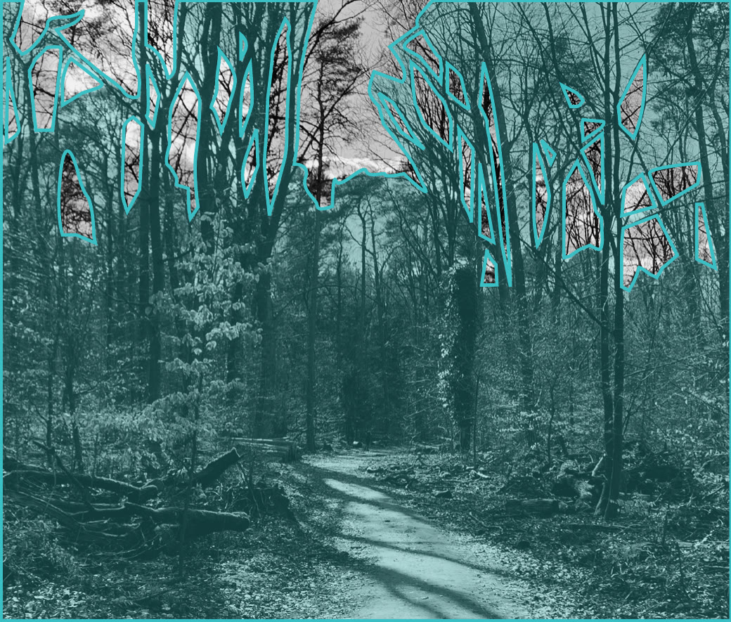 Sunlit pine woodland, marked in teal